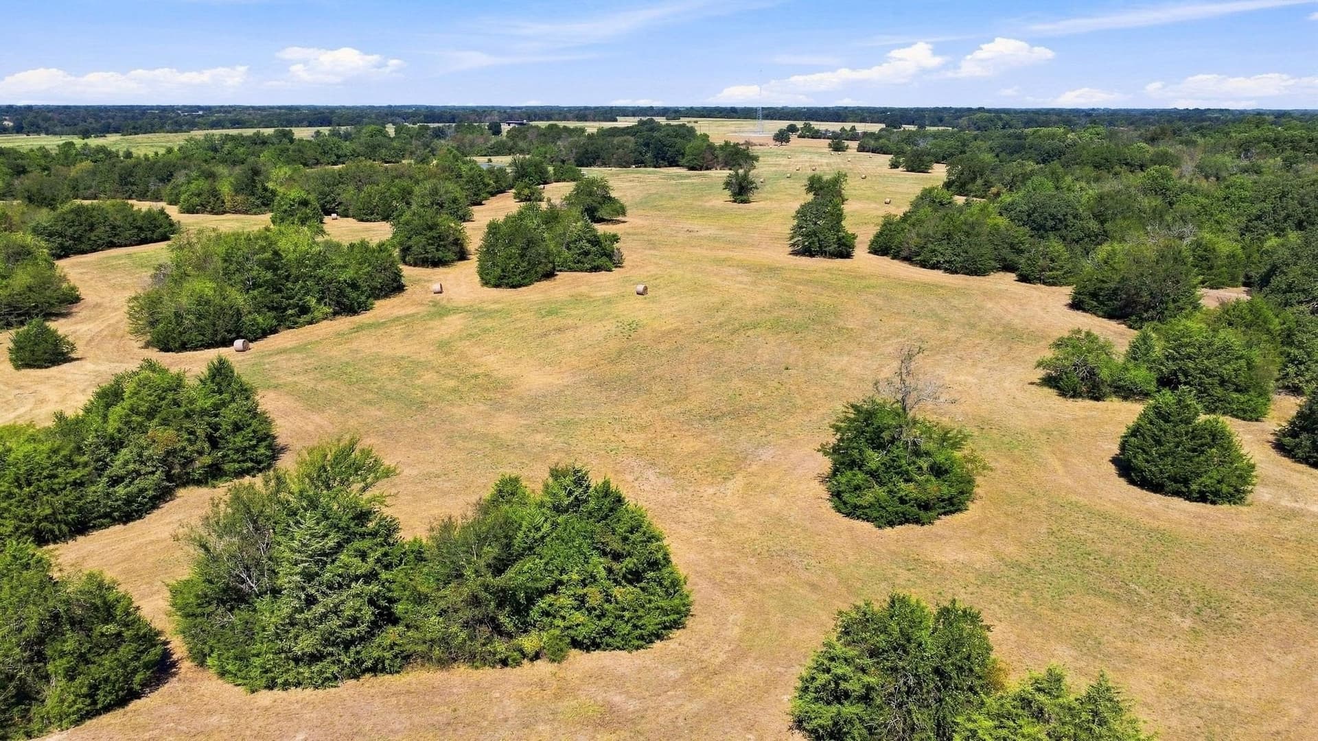 126 acres in Lamar County - photo 14