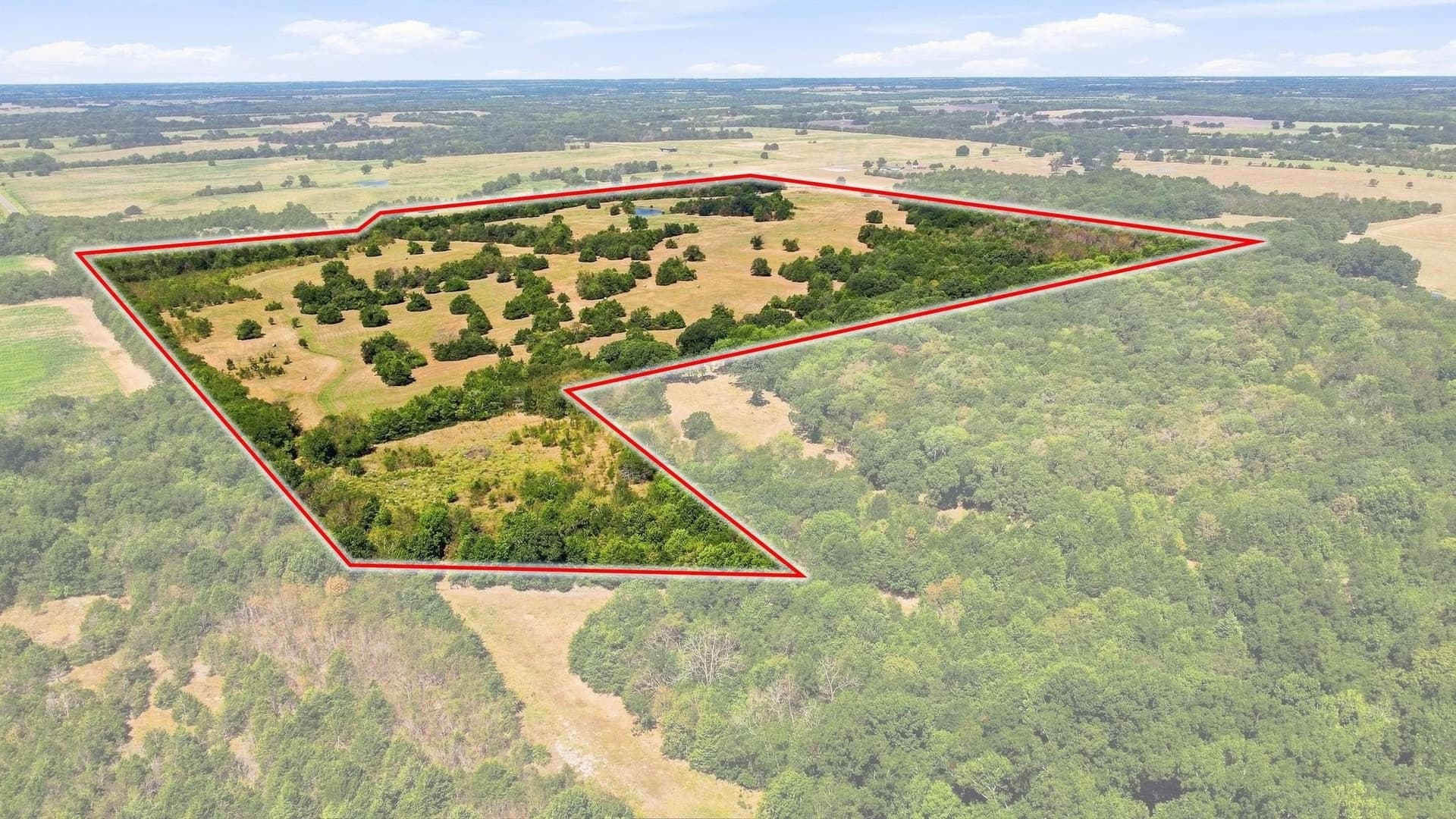 126 acres in Lamar County - photo 15