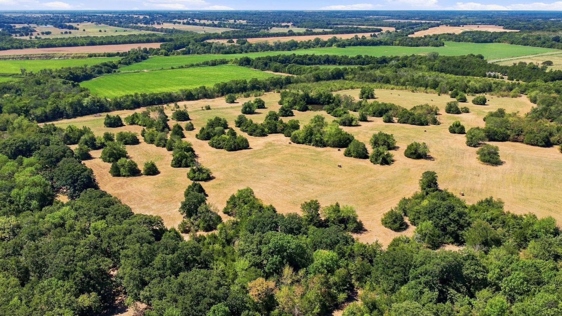 126 acres in Lamar County - photo 4