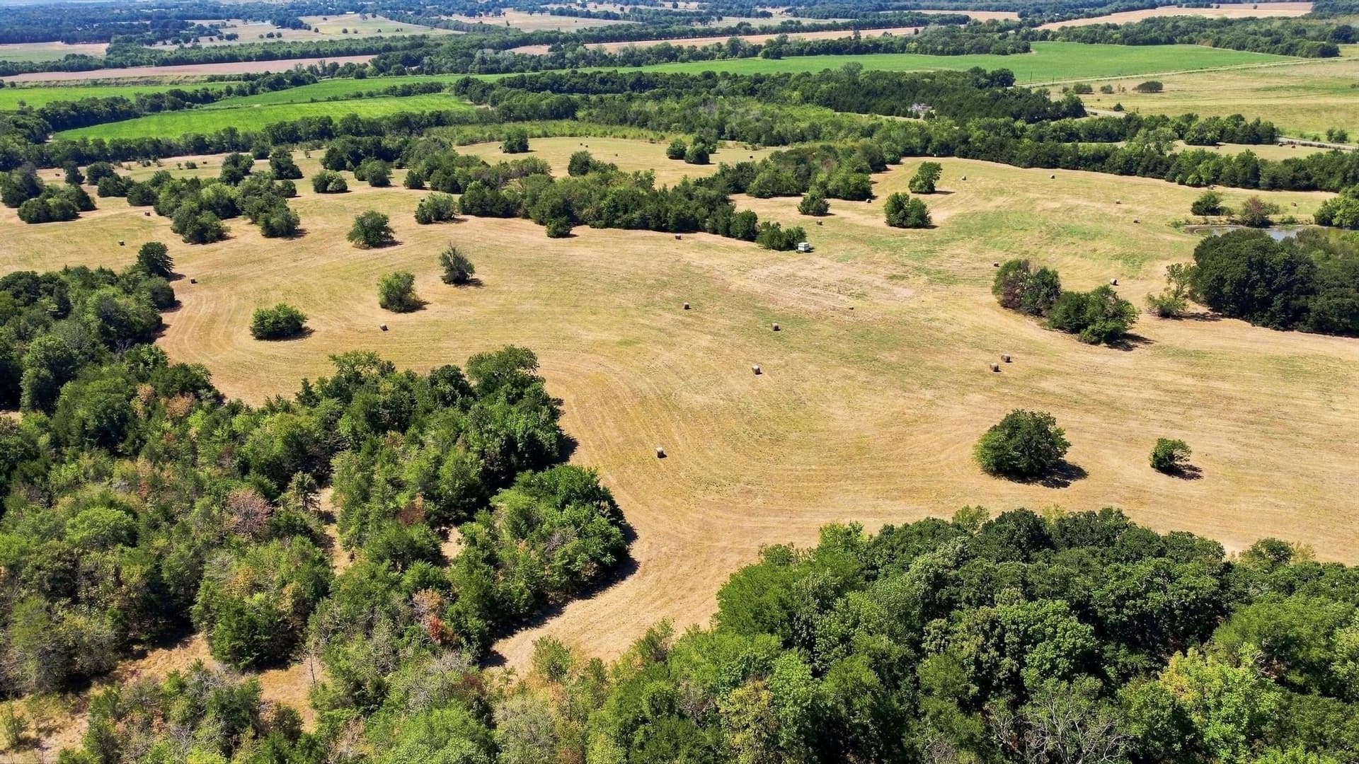 126 acres in Lamar County - photo 9