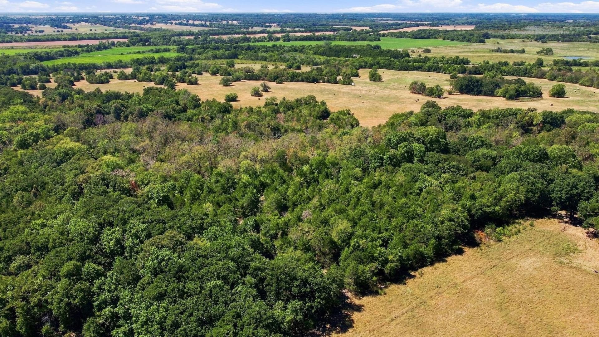 126 acres in Lamar County - photo 8