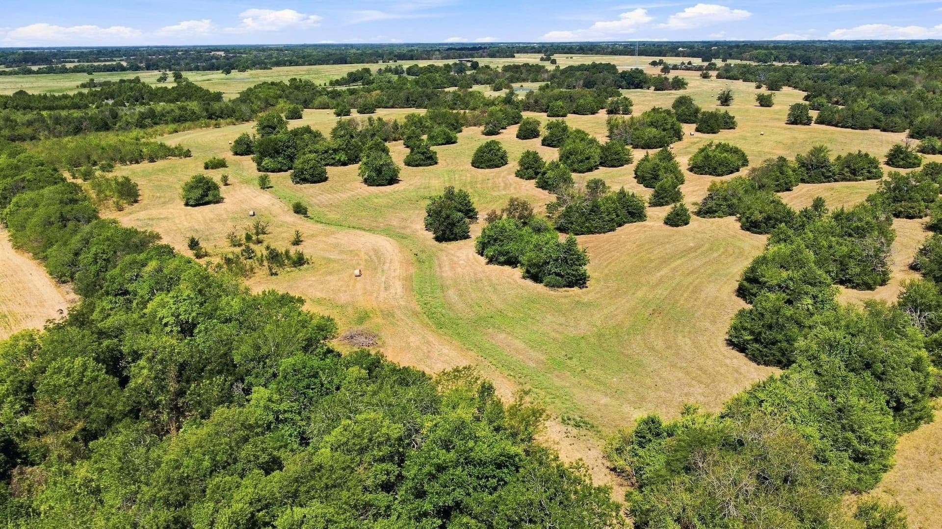 126 acres in Lamar County - photo 17