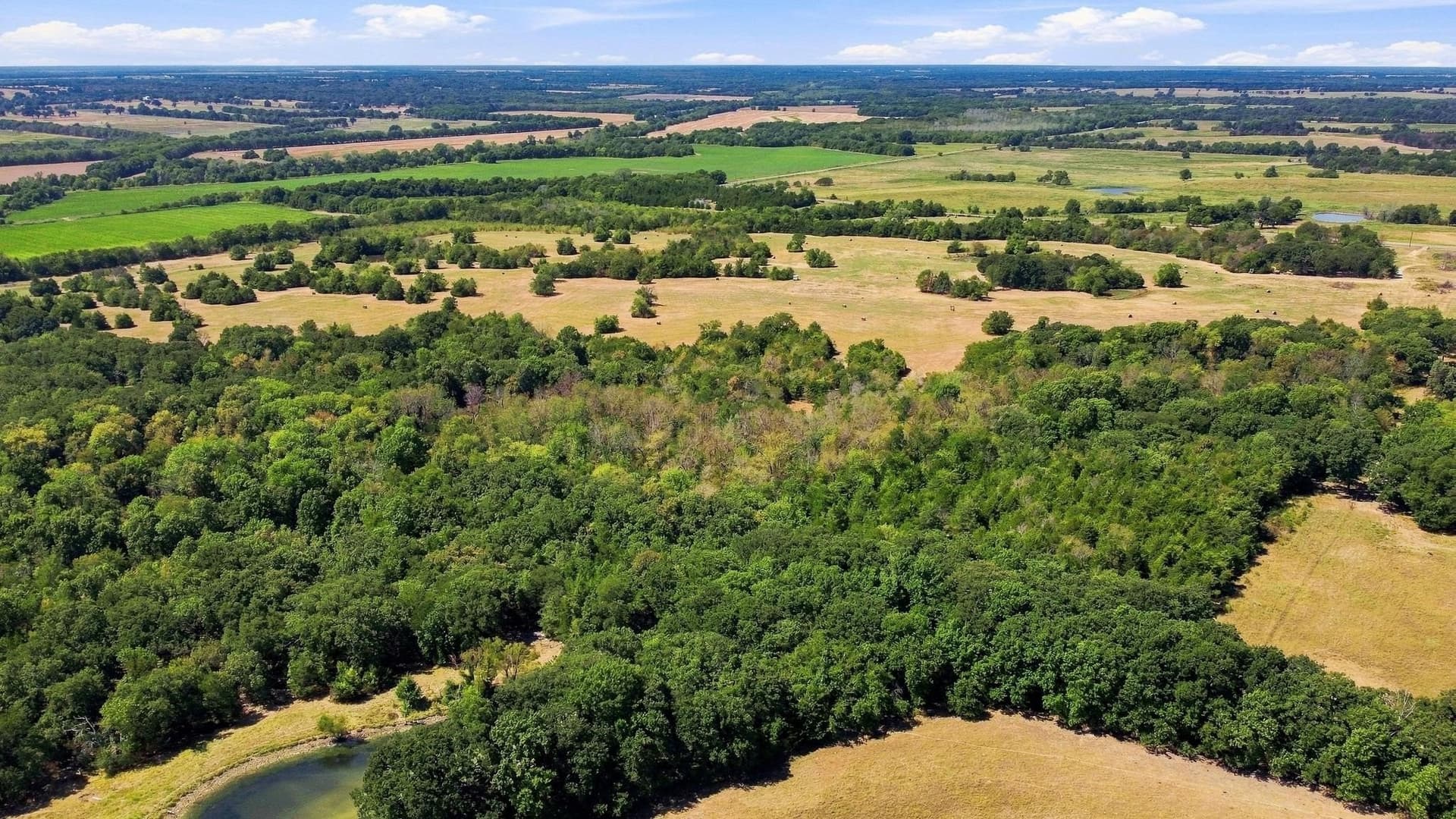 126 acres in Lamar County - photo 19