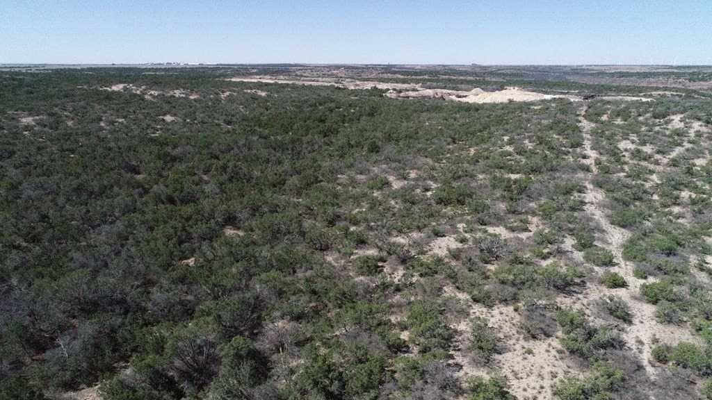 320 acres in Nolan County featured view