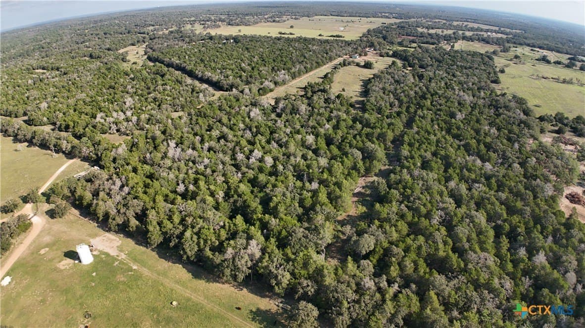 12.06 acres in Bastrop County - photo 5