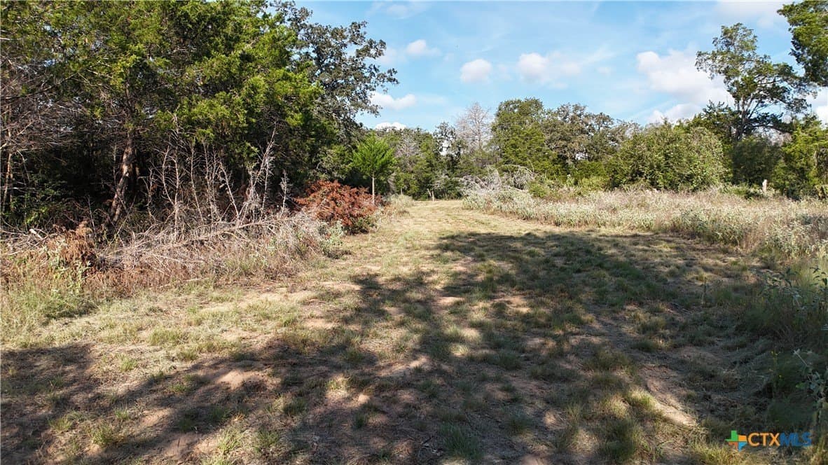 12.06 acres in Bastrop County - photo 15