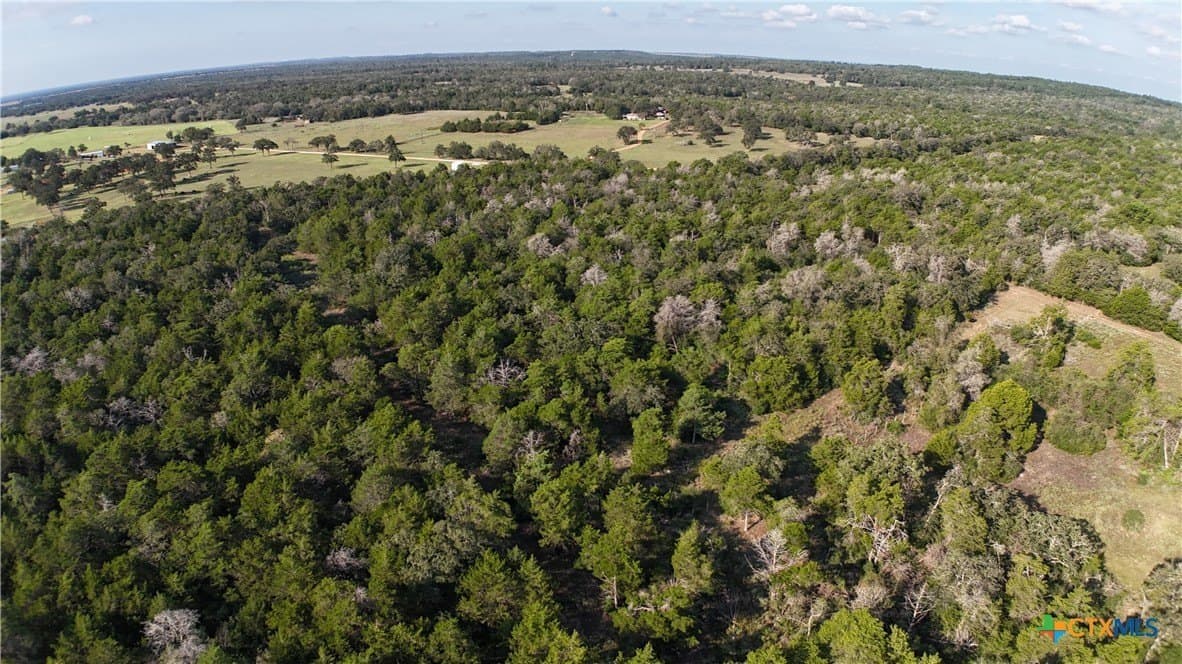 12.06 acres in Bastrop County - photo 3