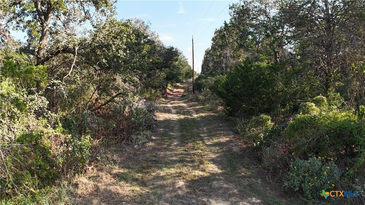 12.06 acres in Bastrop County - photo 9