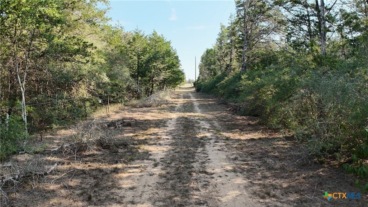 12.06 acres in Bastrop County - photo 10