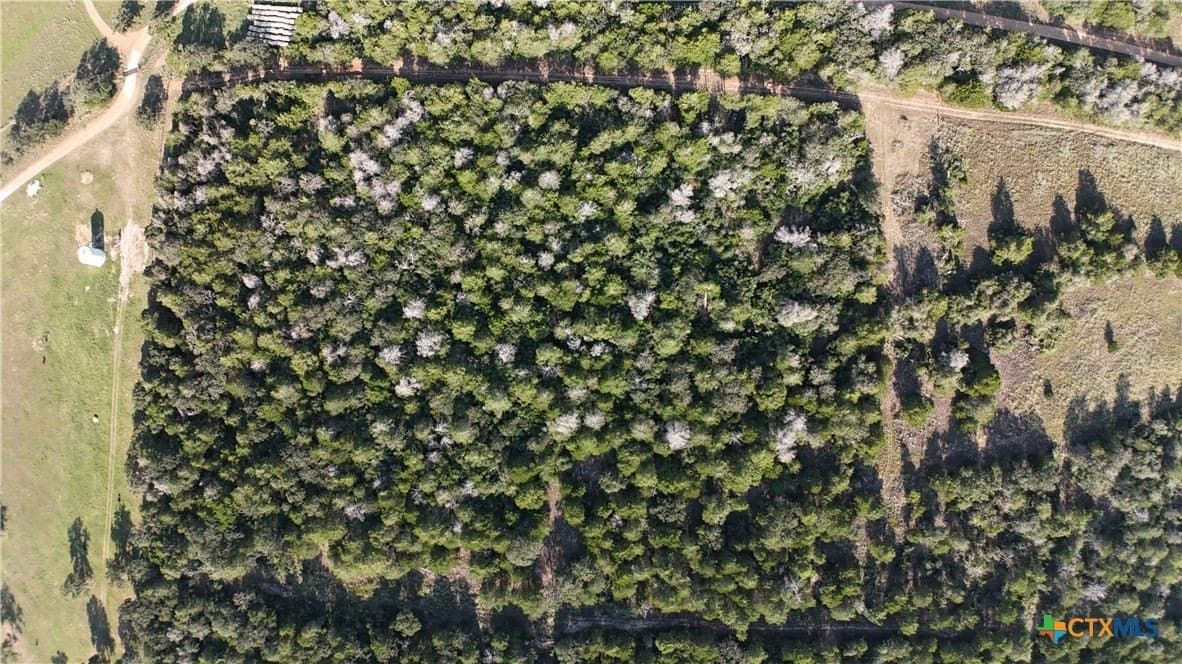 12.06 acres in Bastrop County - photo 4
