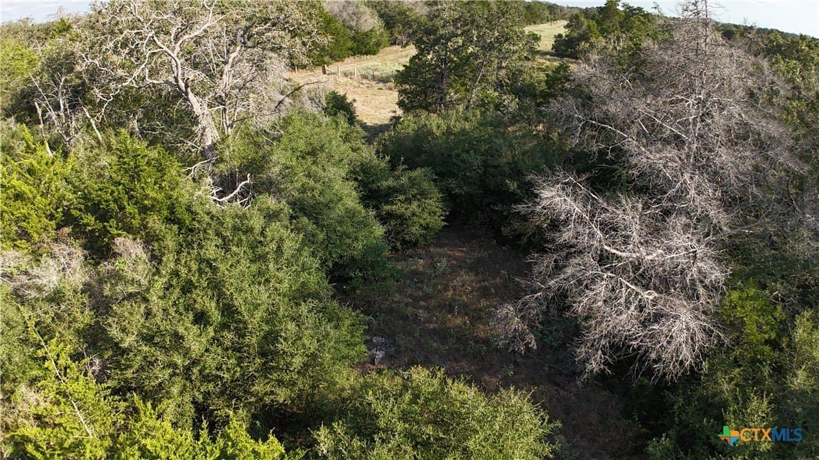 12.06 acres in Bastrop County - photo 17