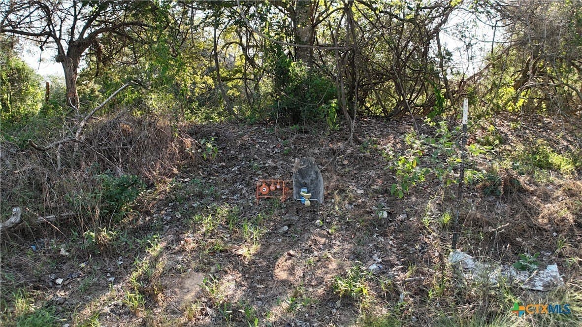 12.06 acres in Bastrop County - photo 14