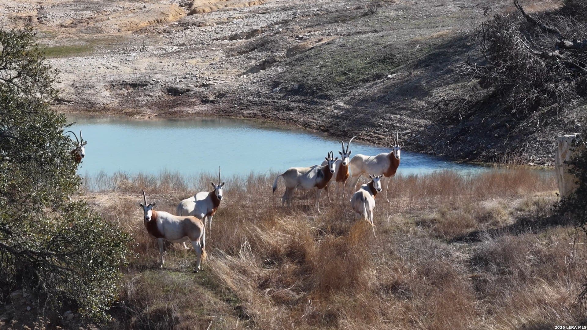 5.73 acres in Blanco County - photo 17