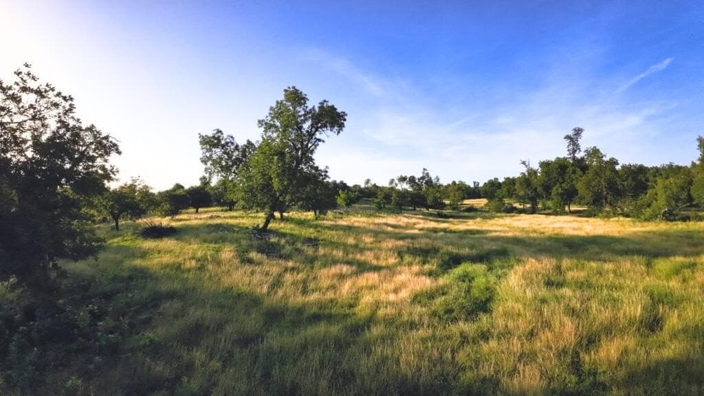 33.36 acres in Gillespie County - photo 10