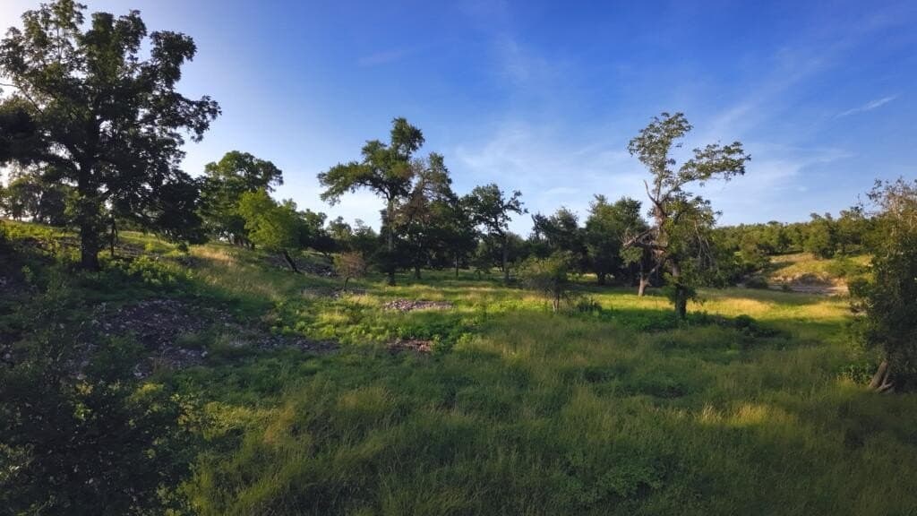 33.36 acres in Gillespie County - photo 7
