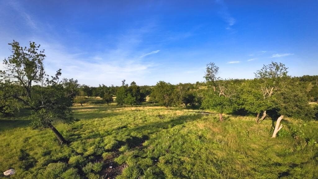 33.36 acres in Gillespie County