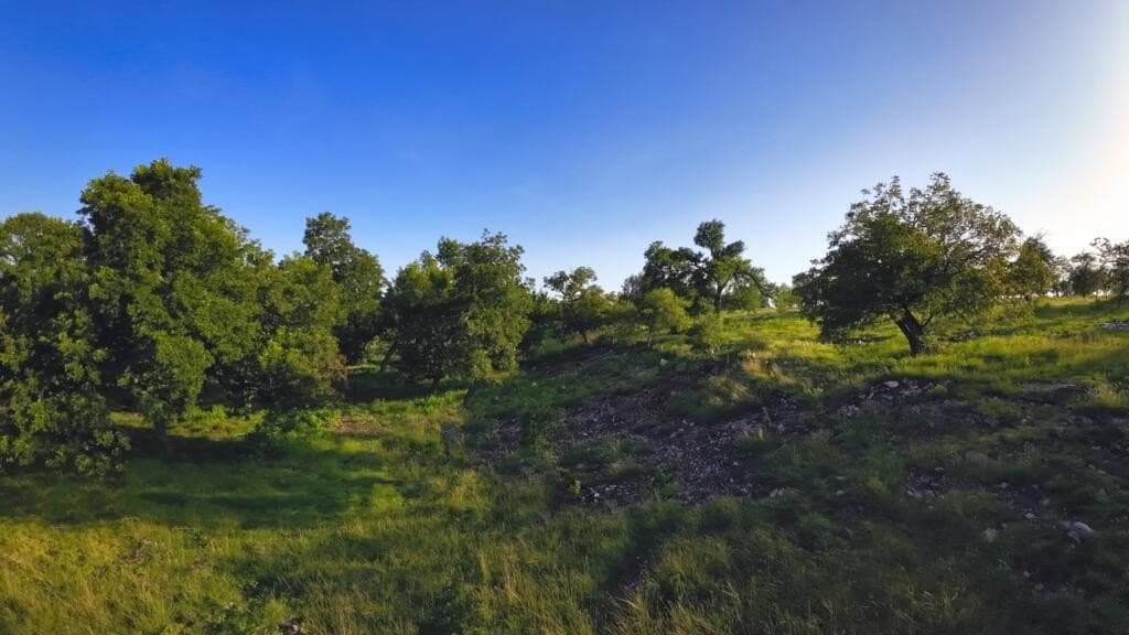 33.36 acres in Gillespie County - photo 2
