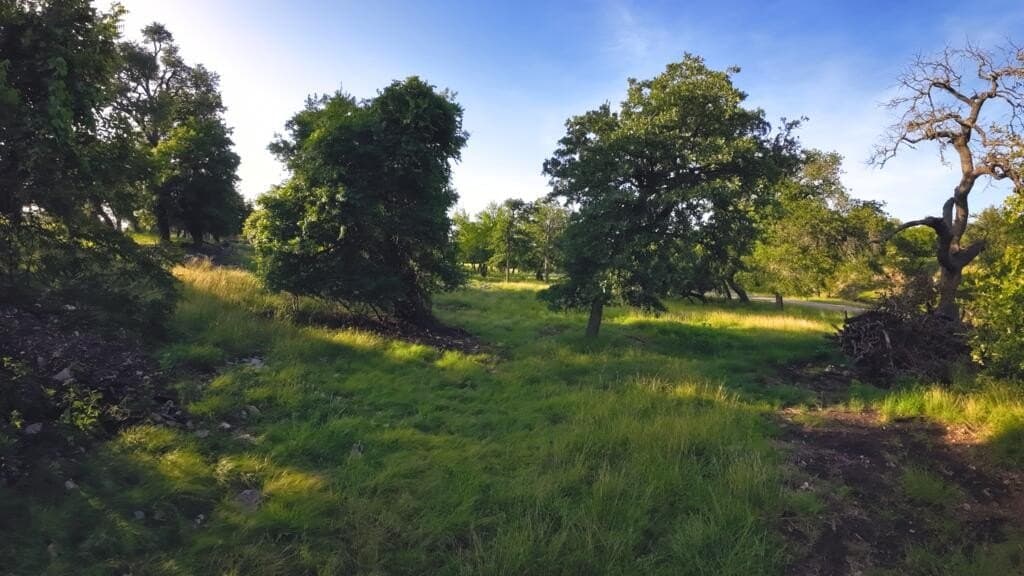 33.36 acres in Gillespie County - photo 5