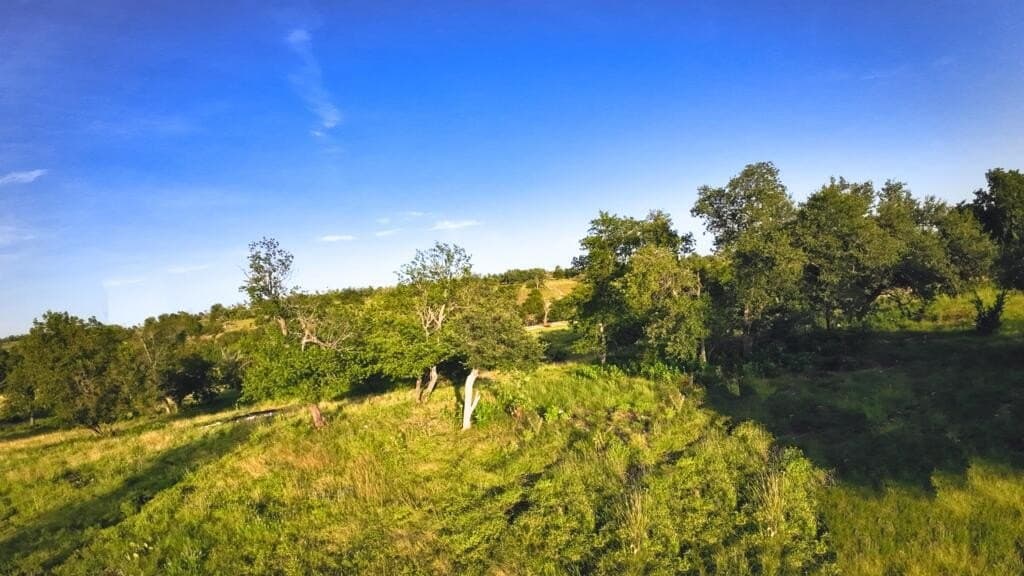 33.36 acres in Gillespie County - photo 9