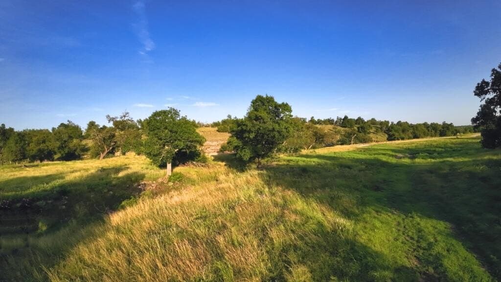 33.36 acres in Gillespie County - photo 4