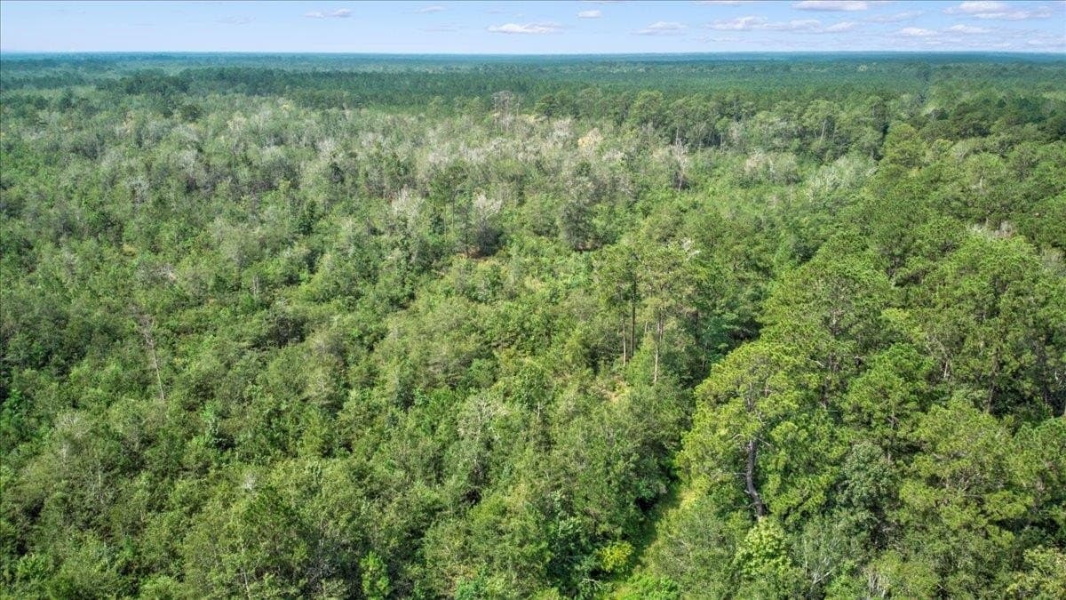 79.9 acres in Texas County - photo 9