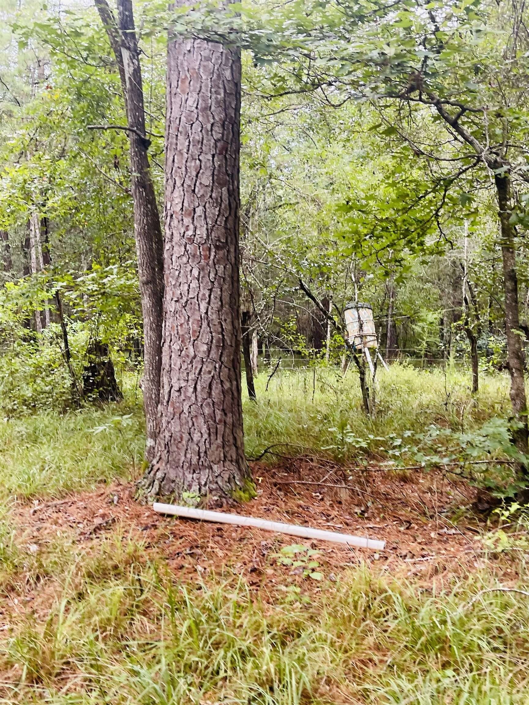 79.9 acres in Texas County gallery image 3