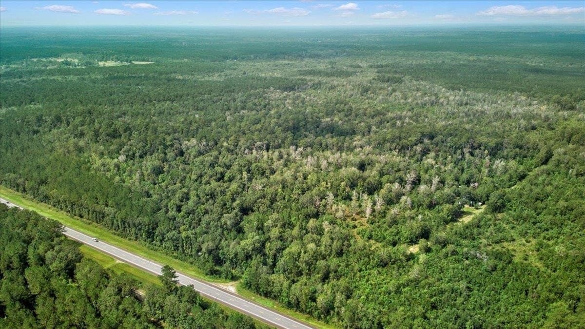 79.9 acres in Texas County - photo 6