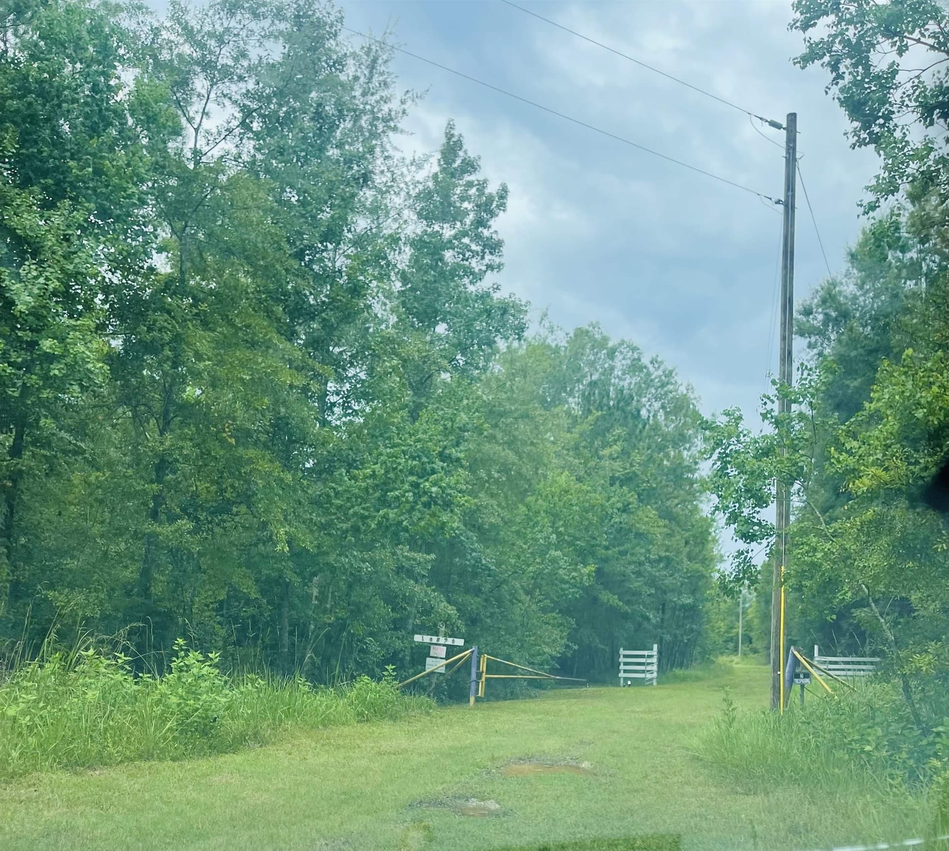 79.9 acres in Texas County gallery image 2