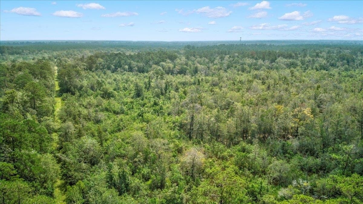 79.9 acres in Texas County - photo 8
