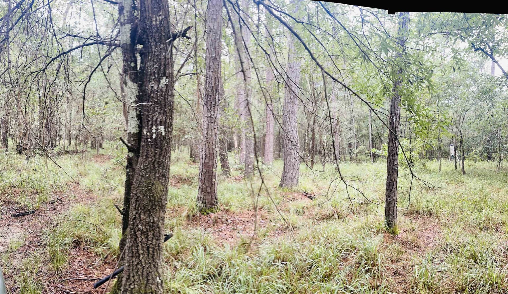 79.9 acres in Texas County gallery image 4