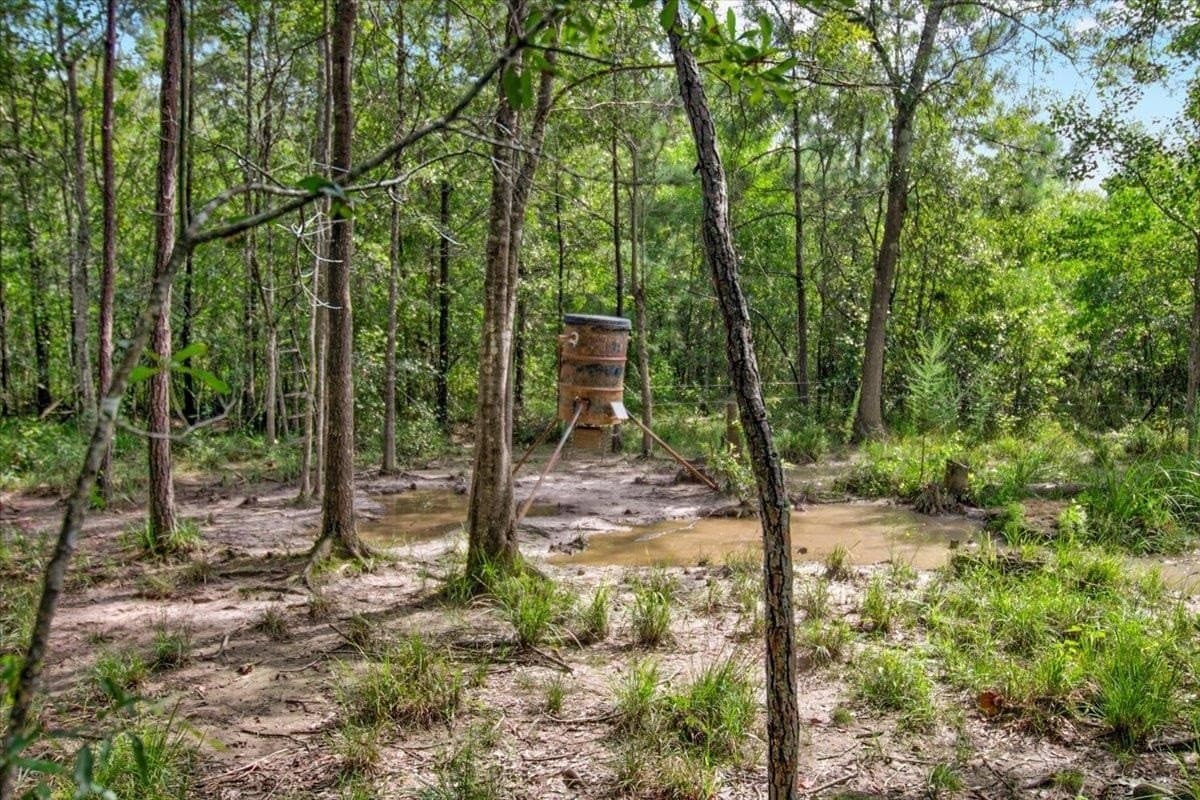 79.9 acres in Texas County