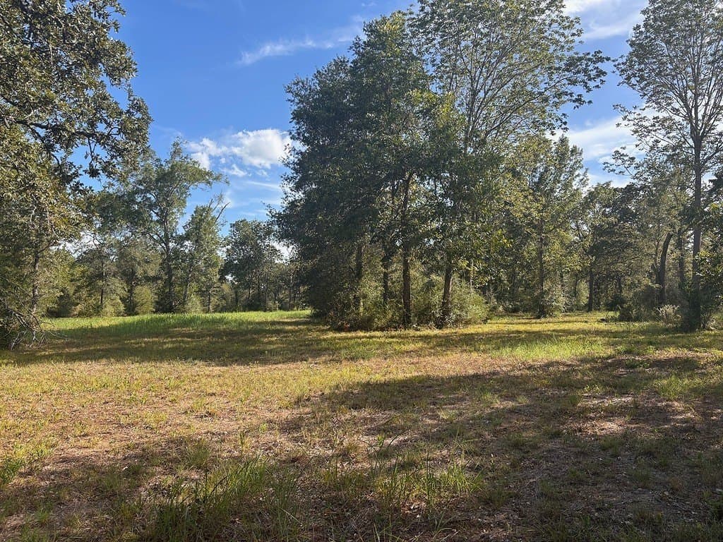 13.01 acres in Austin County - photo 26