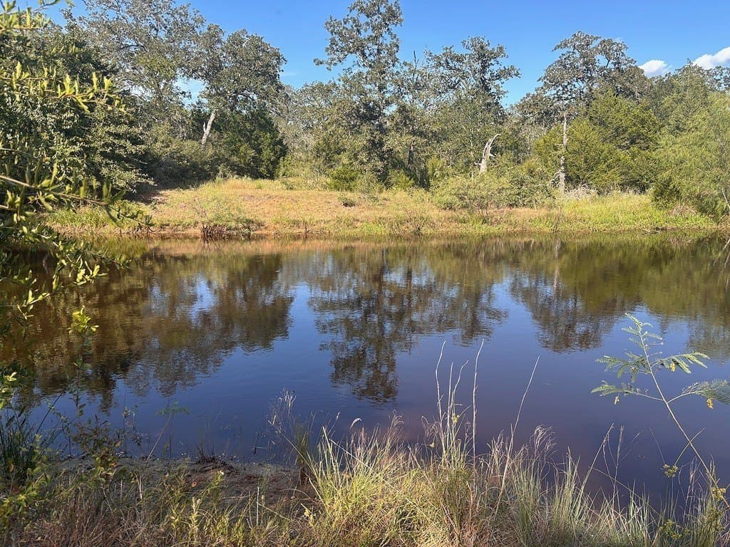 13.01 acres in Austin County - photo 25
