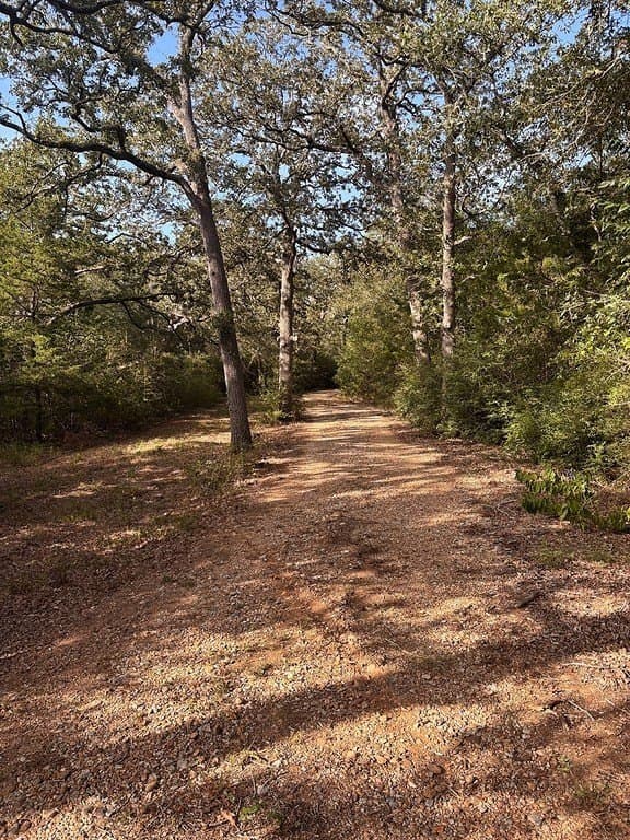 13.01 acres in Austin County - photo 22