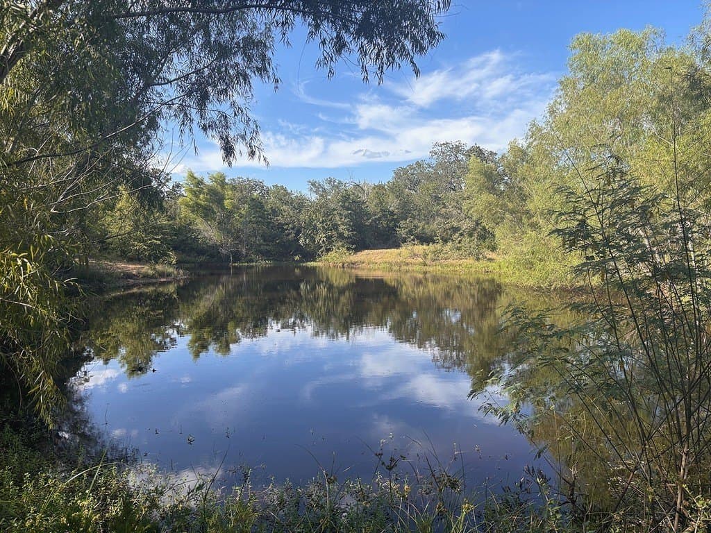 13.01 acres in Austin County - photo 2