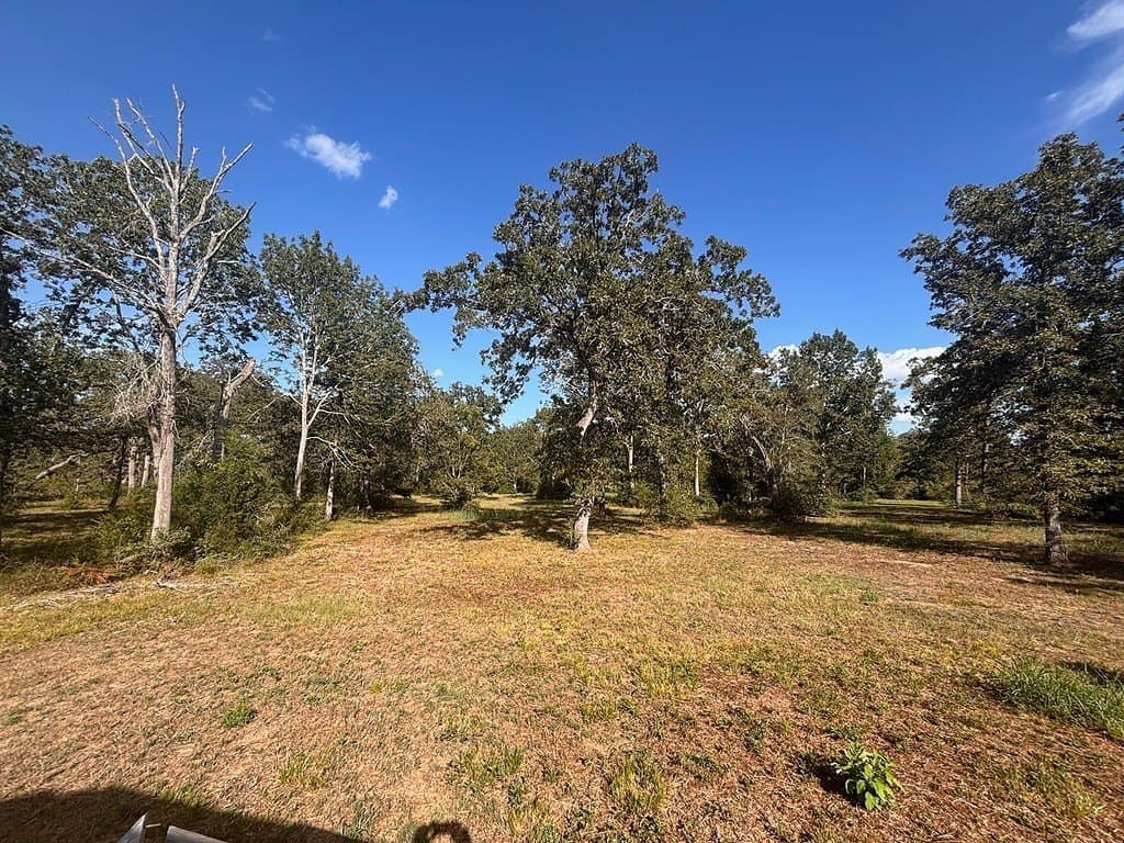 13.01 acres in Austin County - photo 27