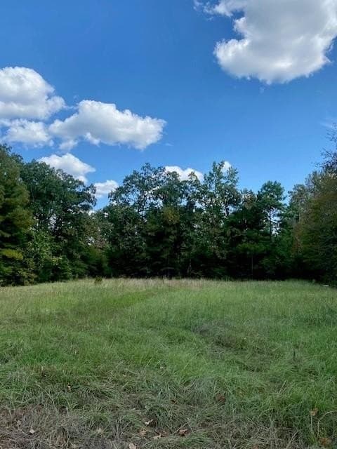7.42 acres in Texas County - photo 14