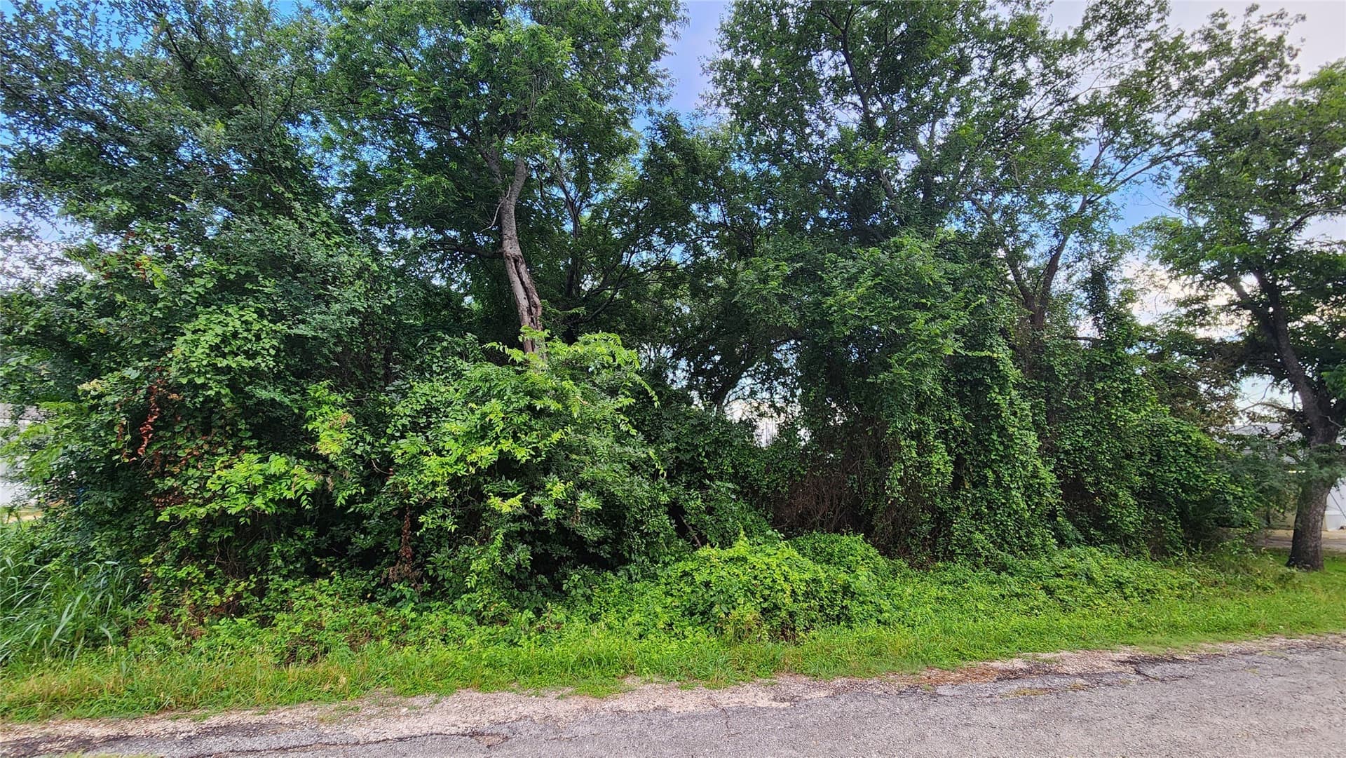 0.17 acres in Hood County - photo 2