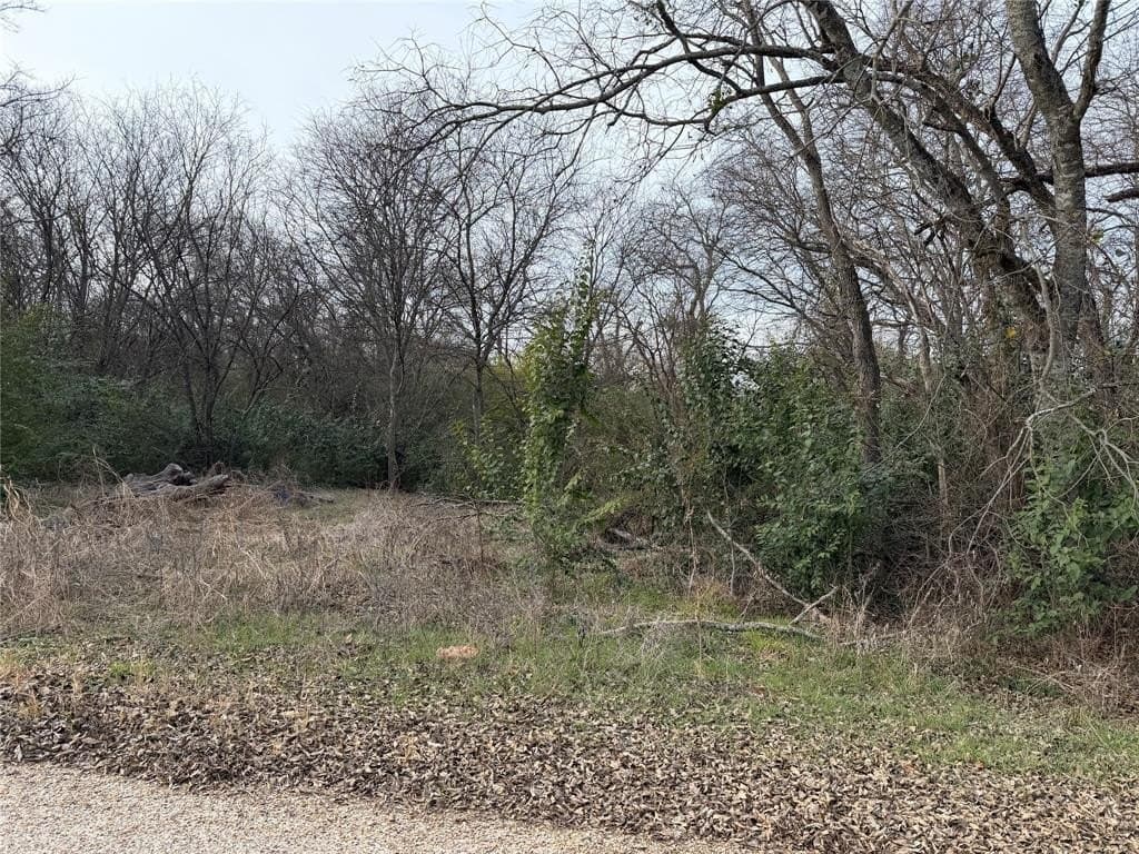 0.28 acres in Bosque County gallery image 2