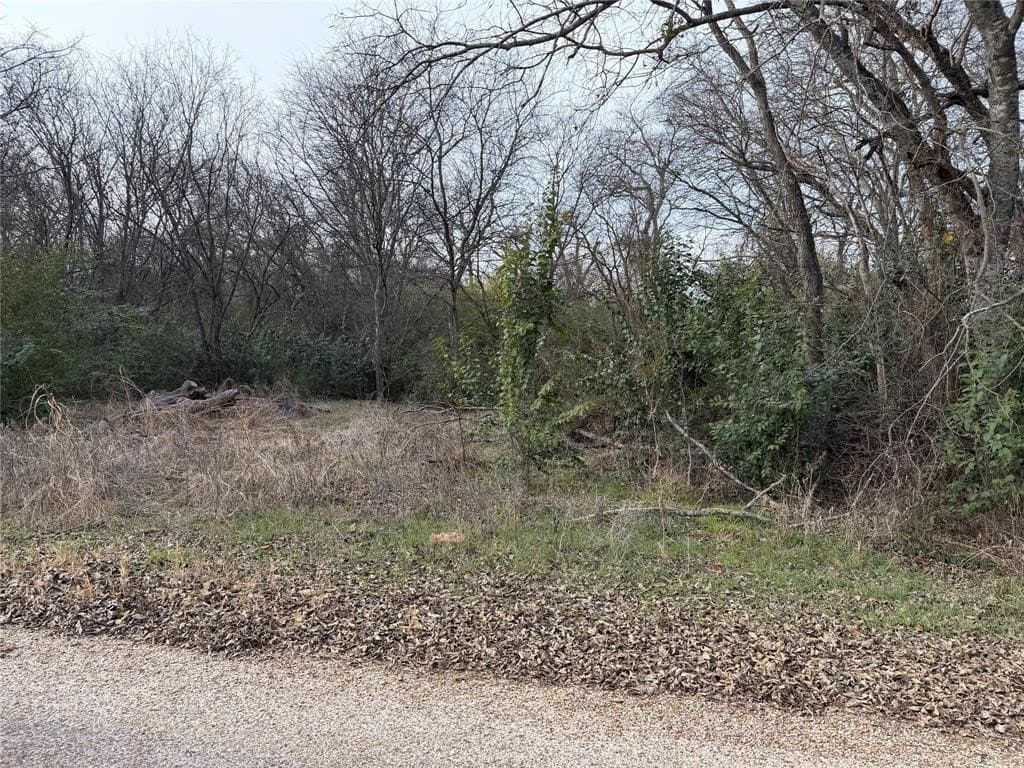 0.28 acres in Bosque County