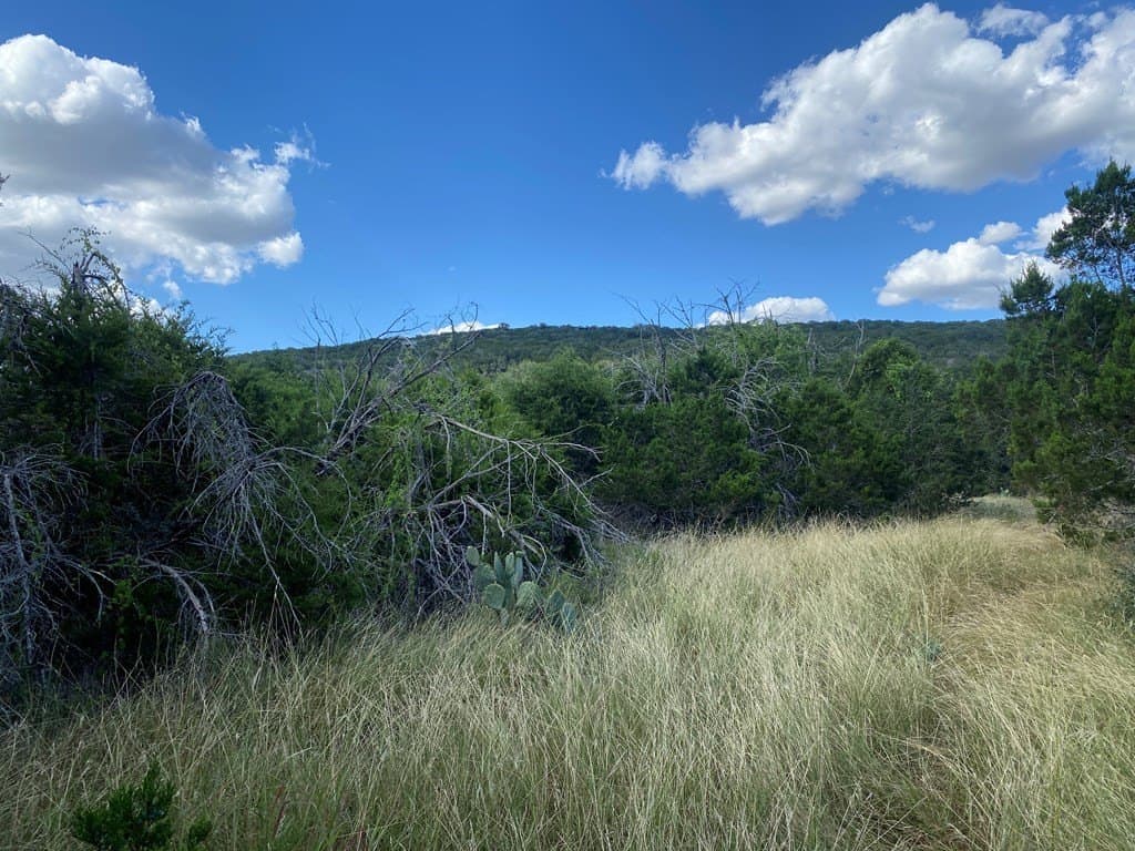 6.39 acres in Real County gallery image 3