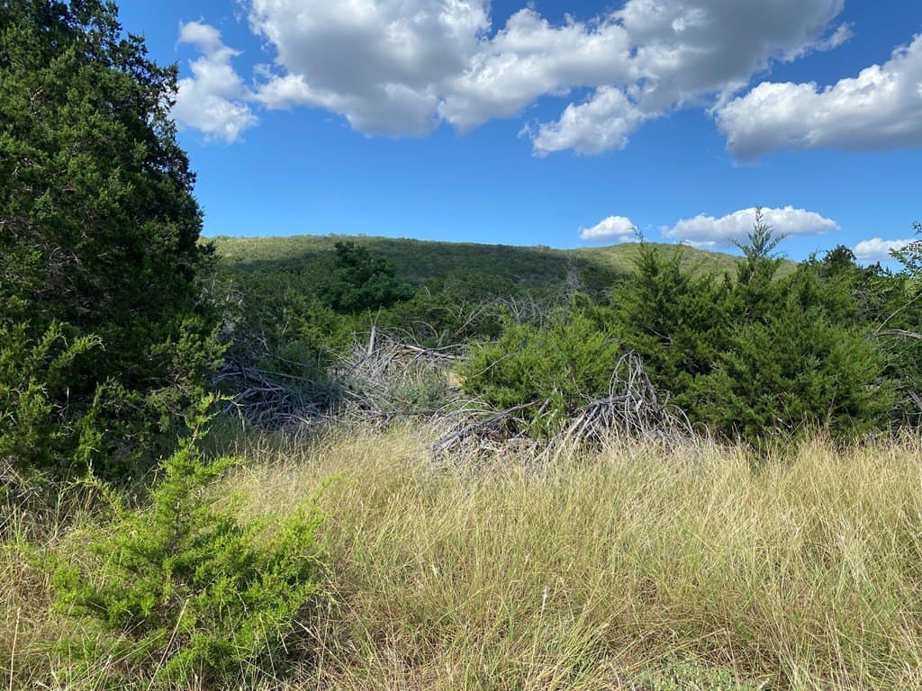 6.39 acres in Real County - photo 6