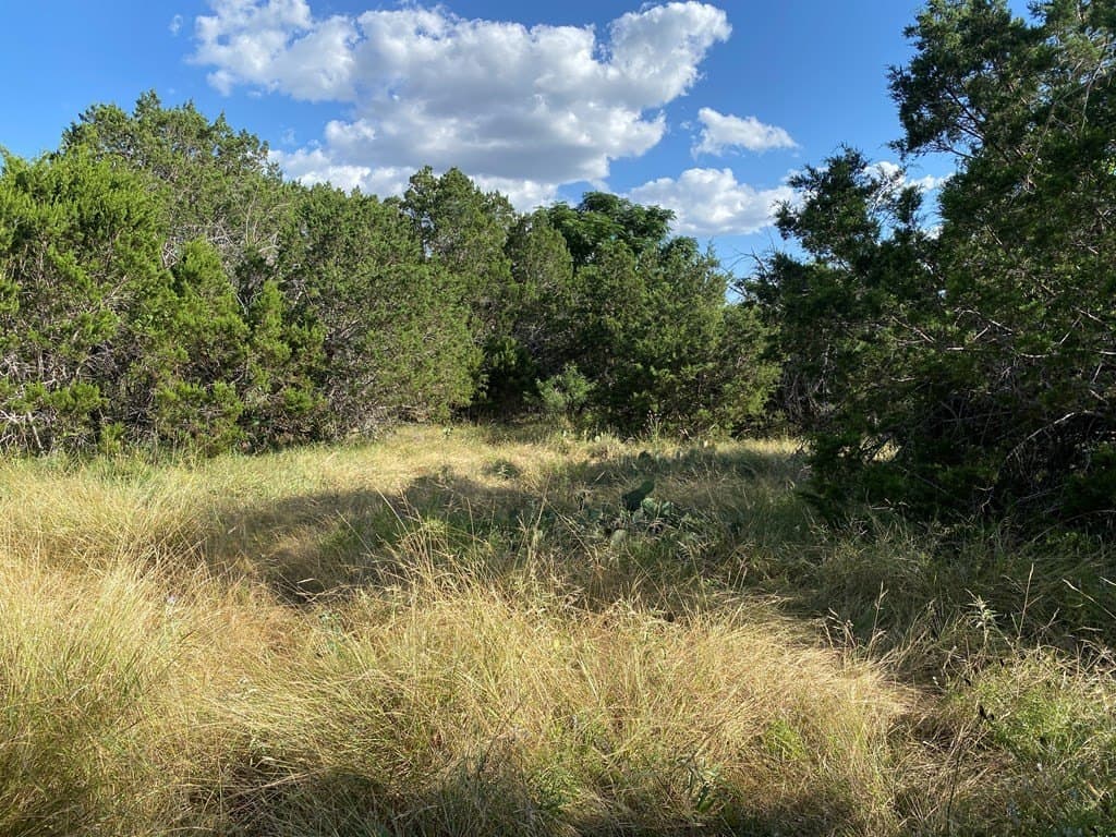 6.39 acres in Real County - photo 7