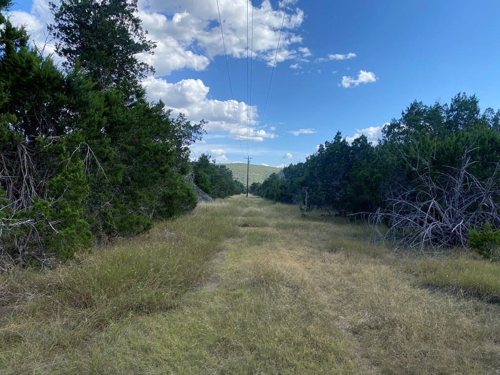 6.39 acres in Real County gallery image 4