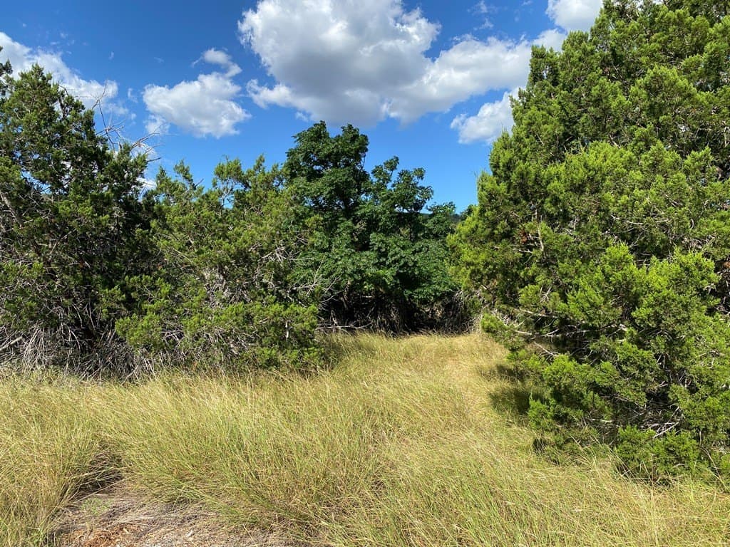 6.39 acres in Real County featured view