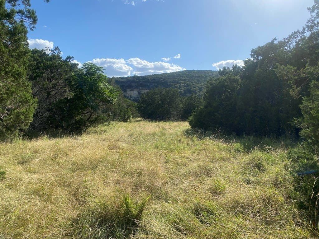 6.39 acres in Real County gallery image 2