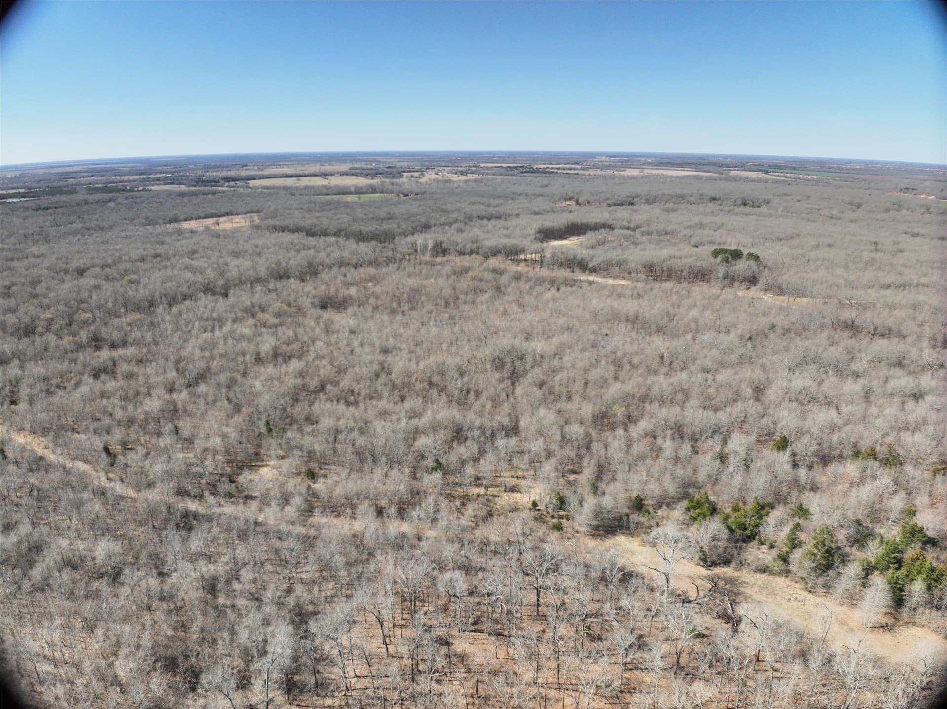 152 acres in Red River (TX) County featured view