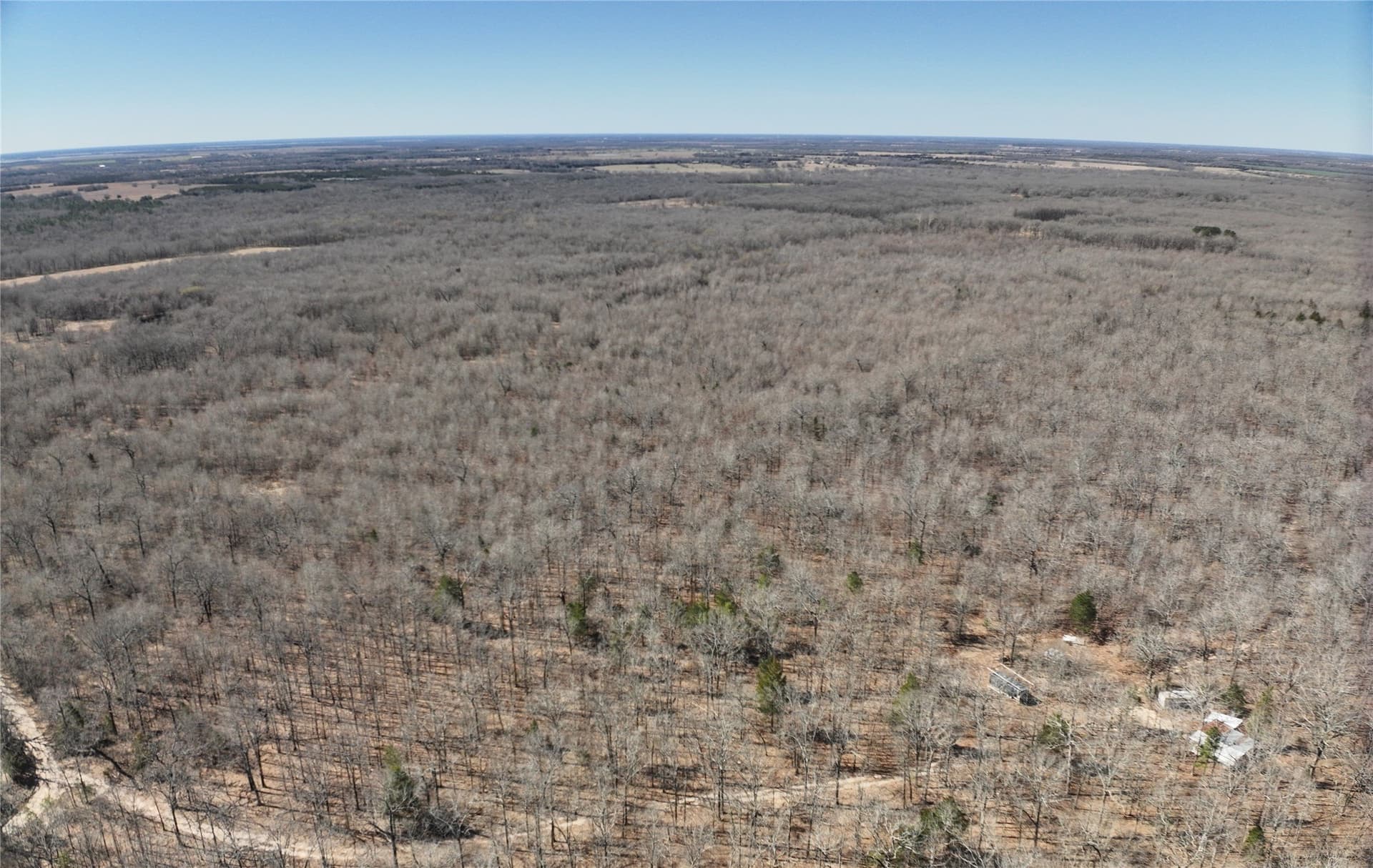 152 acres in Red River (TX) County gallery image 3
