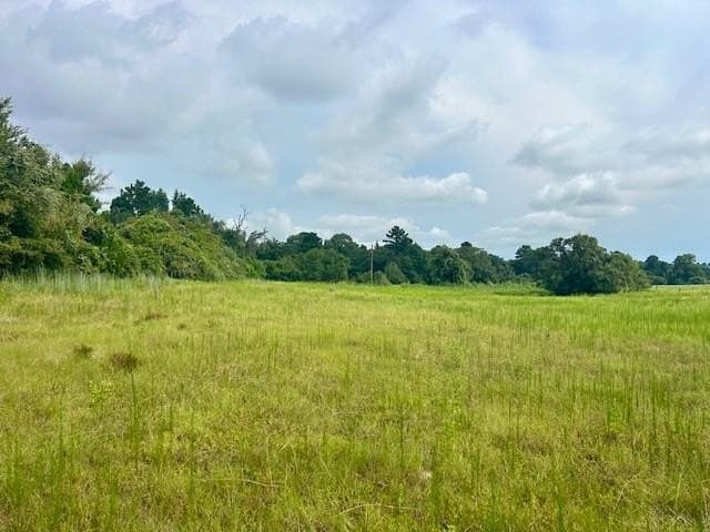 15.34 acres in Leon County gallery image 4