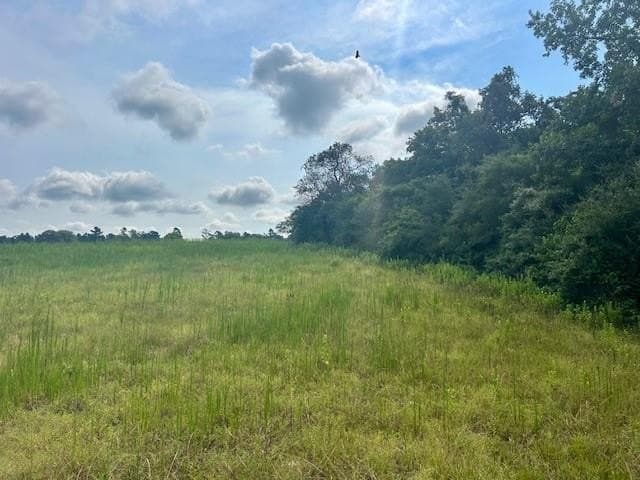 15.34 acres in Leon County gallery image 2